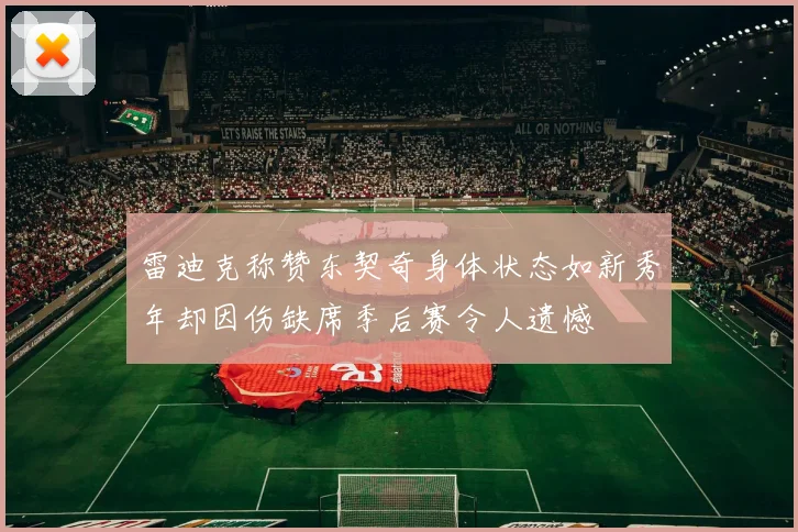雷迪克称赞东契奇身体状态如新秀年却因伤缺席季后赛令人遗憾
